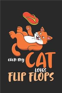 Even My Cat Loves Flip Flops