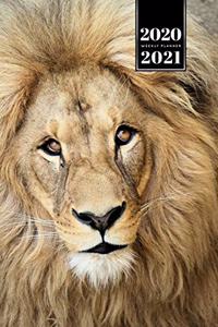 Lion Week Planner Weekly Organizer Calendar 2020 / 2021 - Clear Eyes