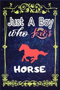 Just A Boy Who Loves Horse