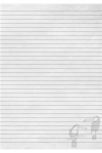 Toucan Journal