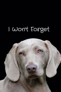 I Won't Forget