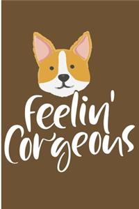 Feeling Corgeous