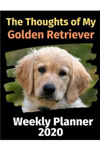 The Thoughts of My Golden Retriever