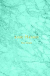 2020 Planner for Goals
