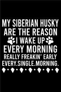My Siberian Husky Are The Reason I Wake Up Every Morning Really Freakin' Early Every.Single.Morning.