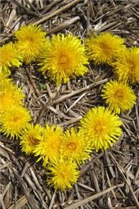 Dandelion Flowers Heart Journal