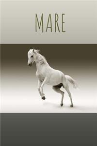 The Mare