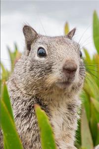 Did Somebody Say Nuts? Squirrel Journal: 150 Page Lined Notebook/Diary
