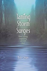 Taming Storm Surges
