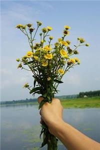 For You Notebook