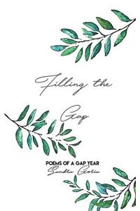 Filling the Gap: Poems of a Gap Year