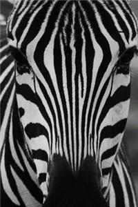 Zebra Notebook