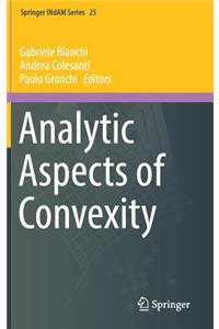 Analytic Aspects of Convexity