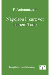 Napoleon I. Kurz VOR Seinem Tode