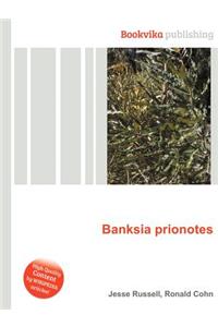 Banksia Prionotes