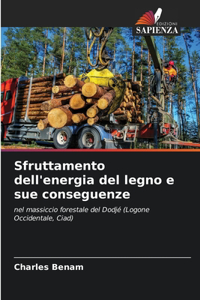 Sfruttamento dell'energia del legno e sue conseguenze