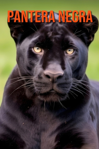 Pantera Negra