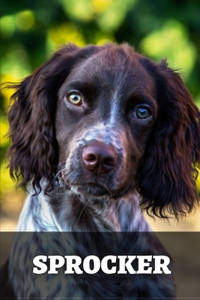 Sprocker