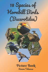 18 Species of Hornbill Birds (Bucerotidae) Picture Book