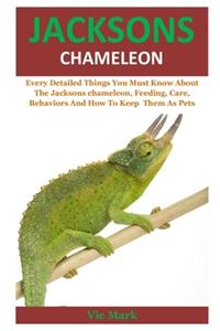 Jacksons Chameleon