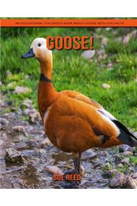 Goose! An Educational Children's Book about Goose with Fun Facts