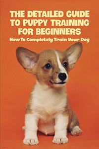 The Detailed Guide To Puppy Training For Beginners
