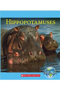 Hippopotamuses (Nature's Children)