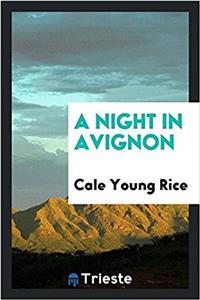 Night in Avignon
