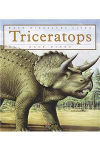 Triceratops