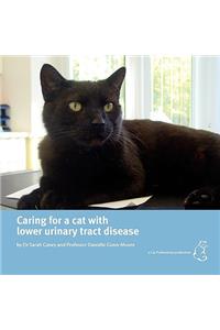 Caring for a Cat with Lower Urinary Tract Disease