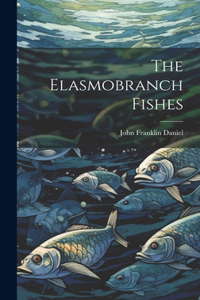 Elasmobranch Fishes