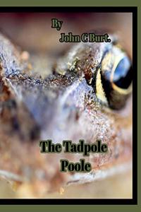 The Tadpole Poole.