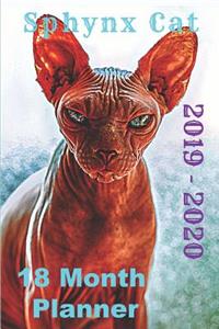 Sphynx Cat 2019 - 2020 18 Month Planner
