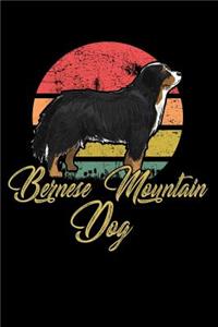 Bernese Mountain Dog