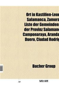 Ort in Kastilien-Leon