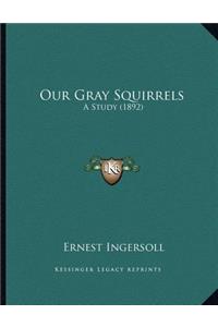 Our Gray Squirrels