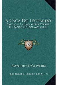 A Caca Do Leopardo