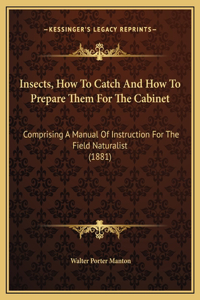 Insects, How To Catch And How To Prepare Them For The Cabinet