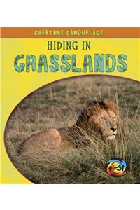 Creature Camouflage Hiding in Grasslands