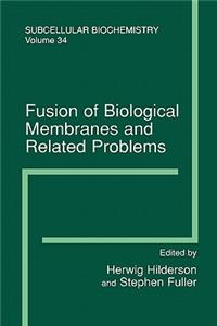 Fusion of Biological Membranes and Related Problems