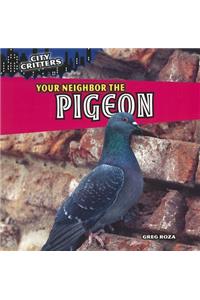 Your Neighbor the Pigeon