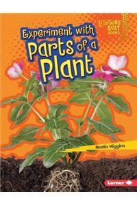 Experiment with Parts of a Plant