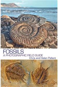 Fossils