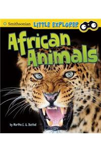 African Animals