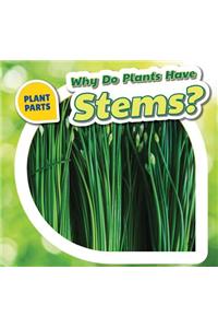 Why Do Plants Have Stems?