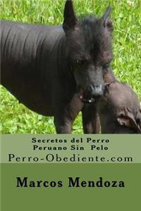 Secretos del Perro Peruano Sin Pelo