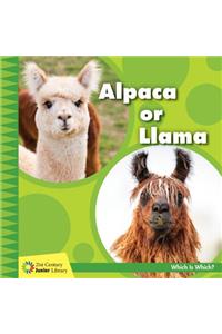 Alpaca or Llama