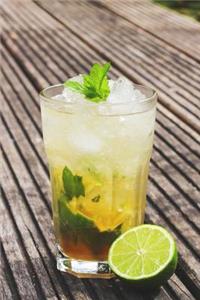 Mojito Tropical Drink Journal
