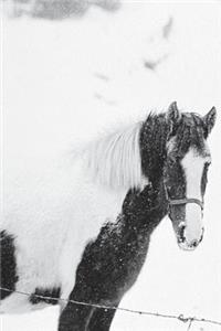 Journal Horse Snowstorm