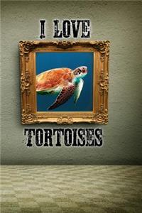 I Love Tortoises
